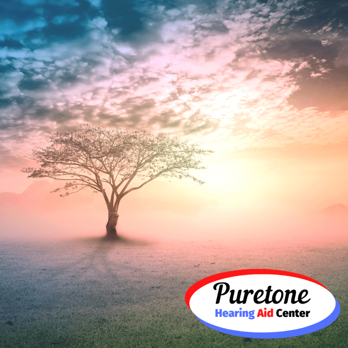 a tree in front of a sunset